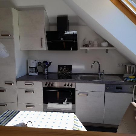 Appartamento Haus Elsholz Willingen Willingen  Esterno foto