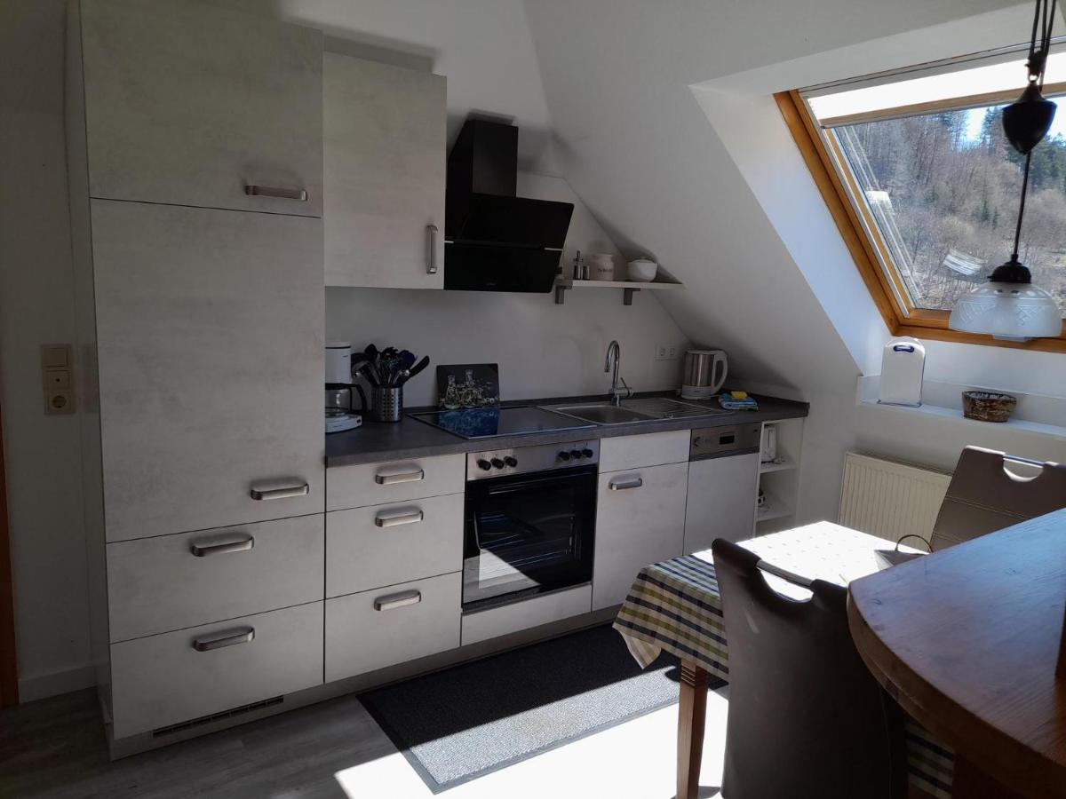 Appartamento Haus Elsholz Willingen Willingen  Esterno foto