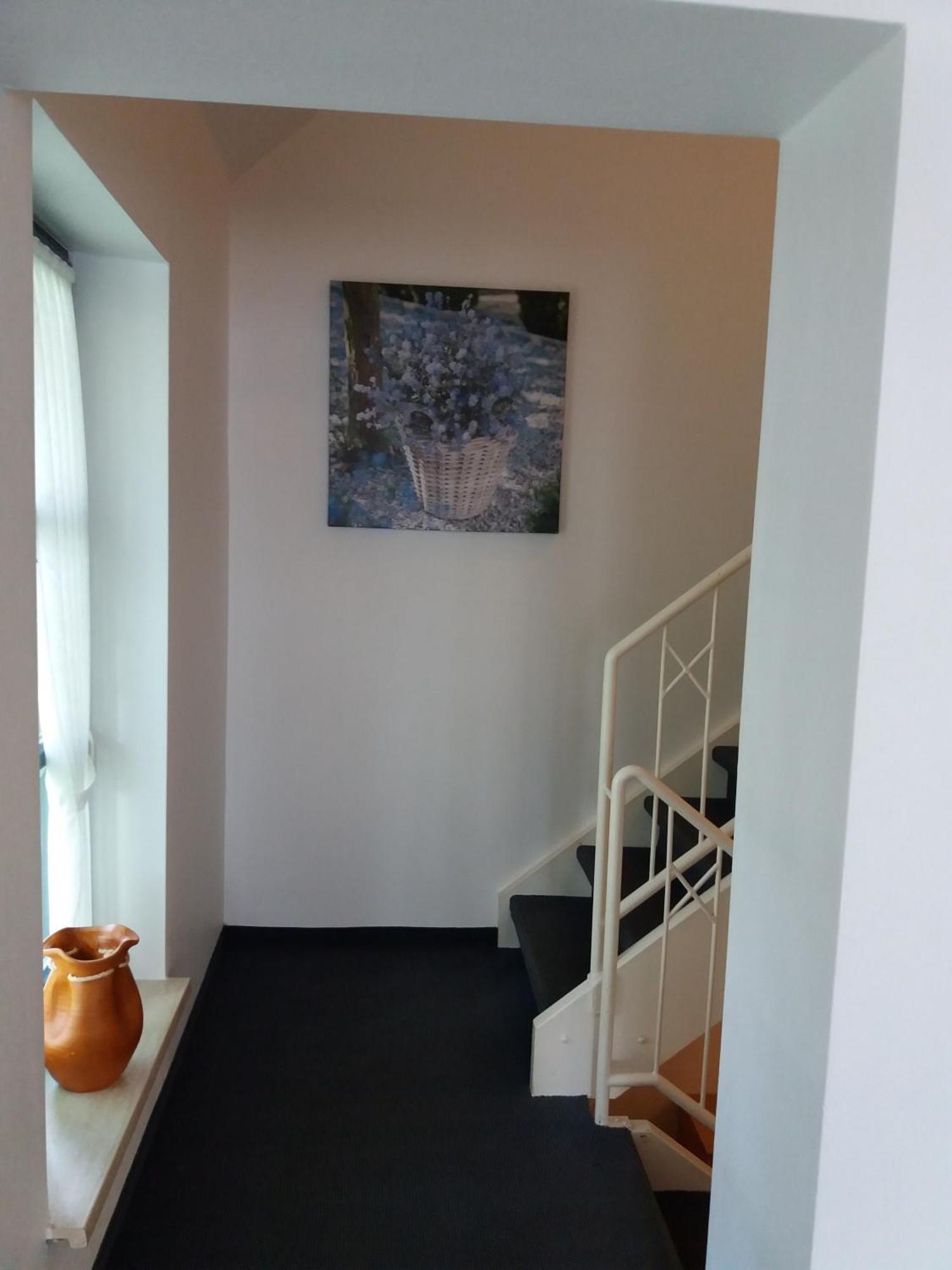 Appartamento Haus Elsholz Willingen Willingen  Esterno foto