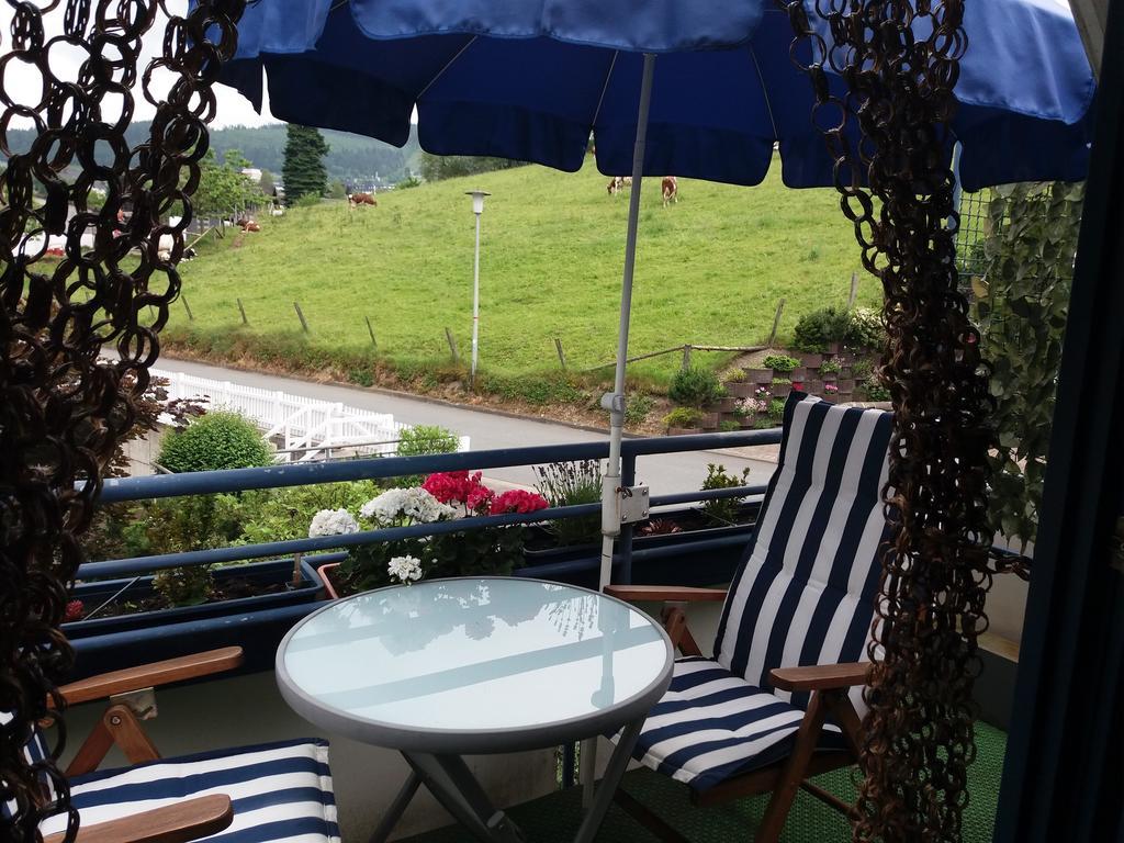 Appartamento Haus Elsholz Willingen Willingen  Esterno foto