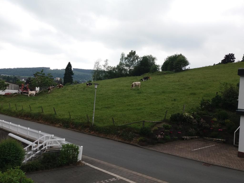 Appartamento Haus Elsholz Willingen Willingen  Esterno foto
