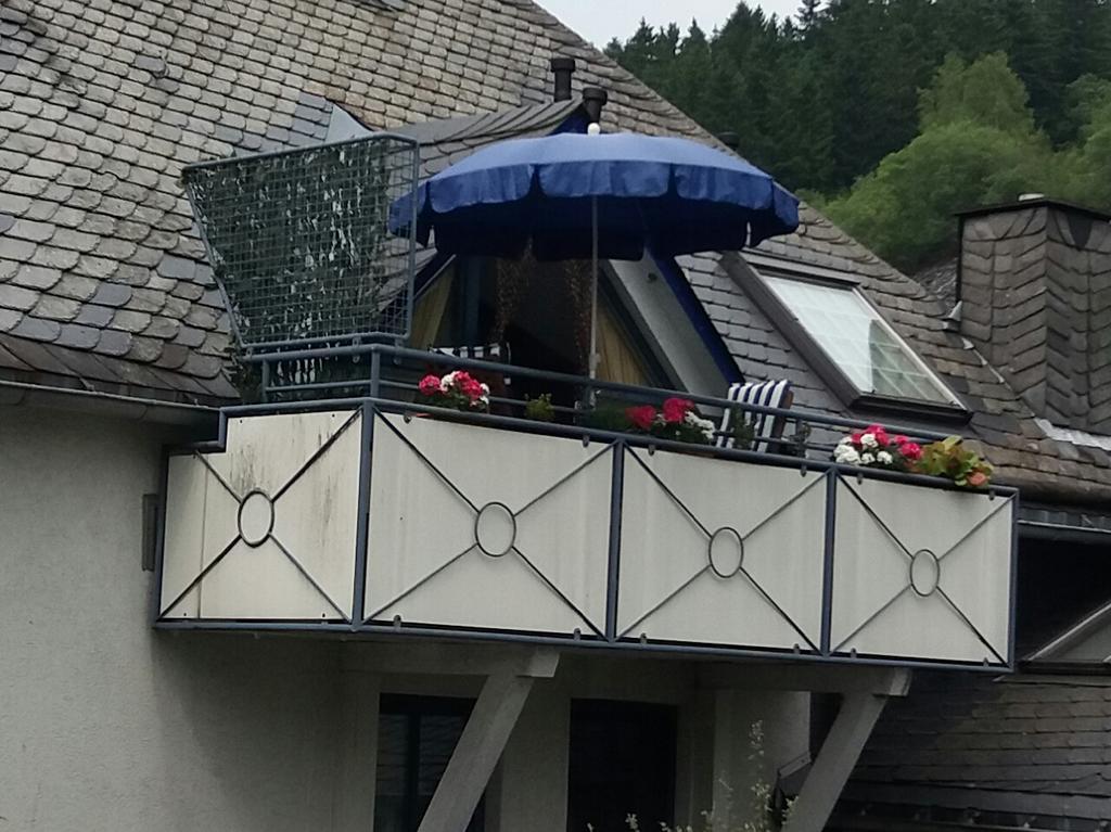 Appartamento Haus Elsholz Willingen Willingen  Esterno foto