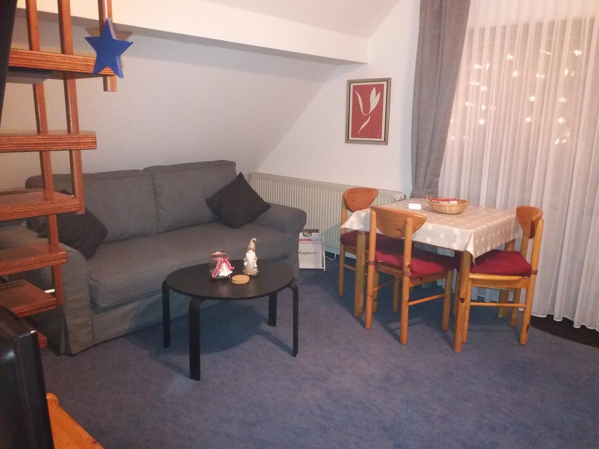 Appartamento Haus Elsholz Willingen Willingen  Esterno foto